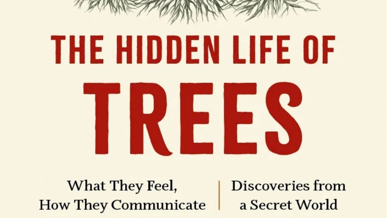 The Hidden Life of Trees – Peter Wohlleben
