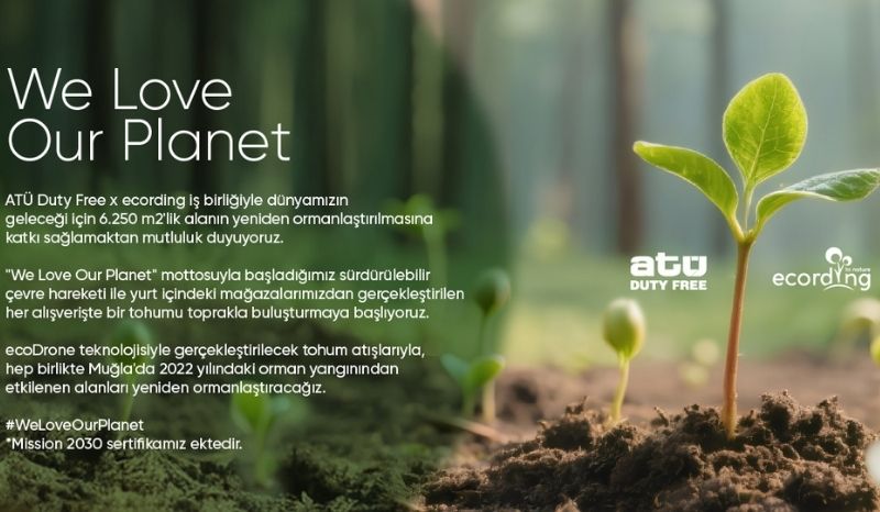 We are reforesting our forests affected by wildfires